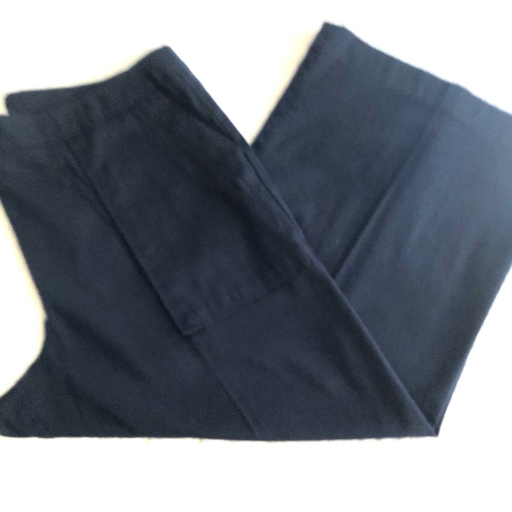 Ann Taylor Factory Navy Blue Crop Pants